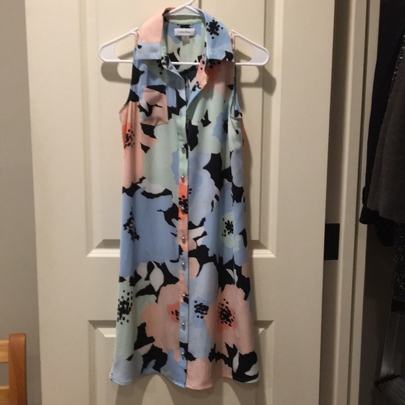 Calvin Klein womens sleeveless Floral Button Down collar shirt dress size 2 - Picture 1 of 10